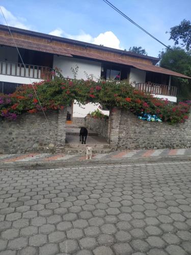 Casa de campo Las Flores in Guano
