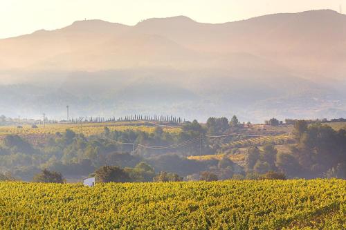 Masia Can Canyes & Spa Masia Can Canyes & Spa