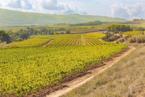 Masia Can Canyes & Spa Masia Can Canyes & Spa