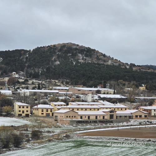 Casa Rural El Jaral in Orihuela Del Tremedal