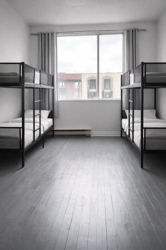 Zen Hostel - Toronto