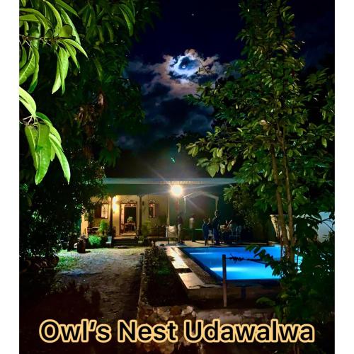 Owls Nest