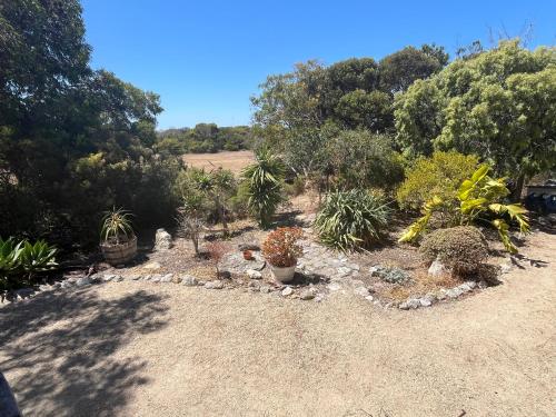 Driftaway - WIFI, Netflix, pet friendly, comfort in Marion Bay