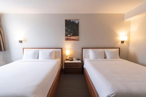 Adara Hotel Room Type - Family Room with Mountain View