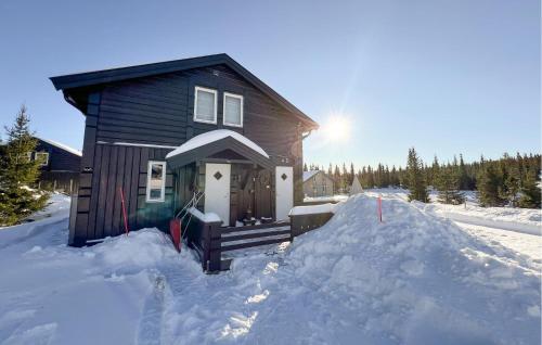 Gorgeous Home In Sjusjøen With Wifi – khách sạn tại Sjusjoen