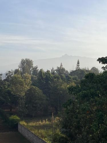 The Mountain Gaze in 涅里