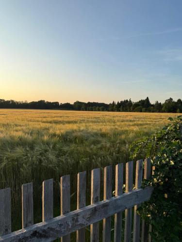 View, Ferienhaus in Glauchau, Garten, Grillmoglichkeit, Privatparkplatz, Kaffeevollautomat, Wlan, Netflix in Glauchau