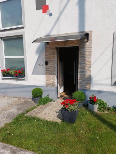 Wandorf in โซปรอนบันฟัลวา