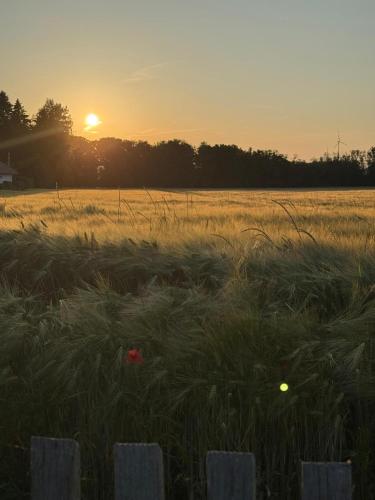 View, Ferienhaus in Glauchau, Garten, Grillmoglichkeit, Privatparkplatz, Kaffeevollautomat, Wlan, Netflix in Glauchau