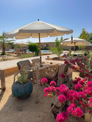 Вид, Cafour House Siwa - Hot Spring in Сива