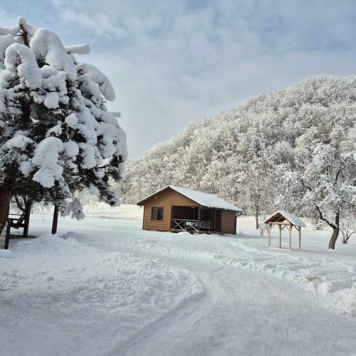 Оберіг, Sheshory (photo 9)