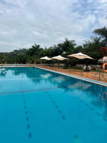 Peldbaseins, Forest Park Resort in Mpigi