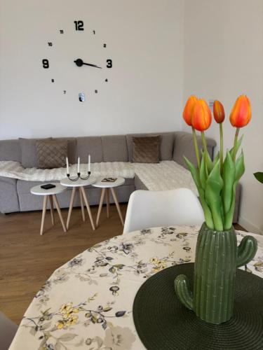 Residency appartment in Danilovgrad