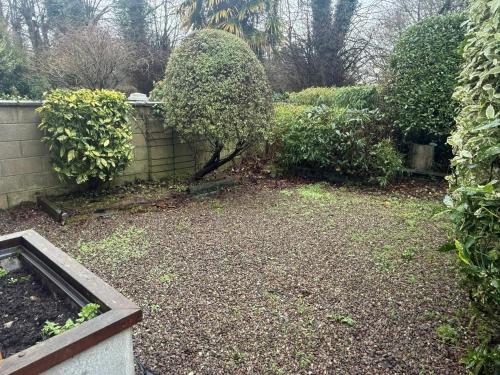 Bright 2BDR Home in Blackrock Cork - image 5