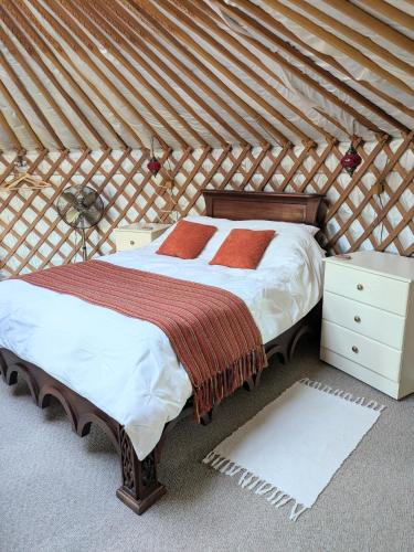 Go Eco Glamping in Llanwenog