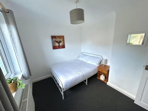 The Blue House - Godolphin - Large Spacious Home - image 4