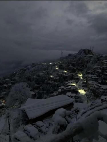 Bliss View - image 3