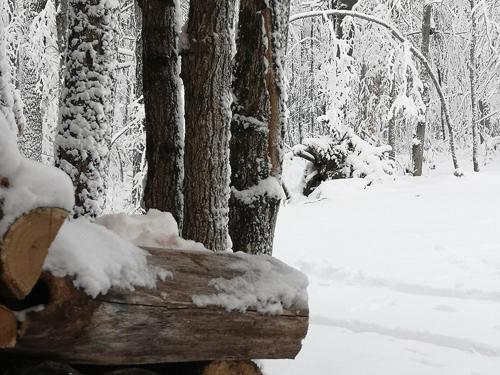 Chalet de luxe 12 pers, Vue, nature & hamacs in Bryson (QC)