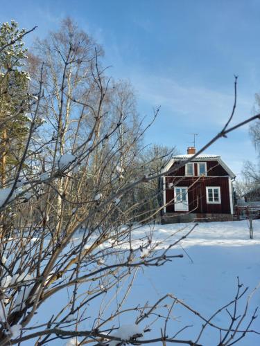 Cottage Lake view Dalarna - Tolvsbo in 南拜爾克