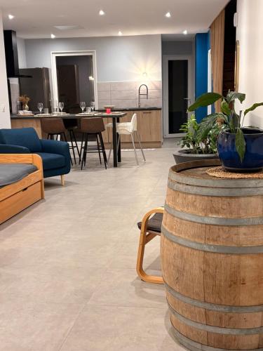 Maison au bord du Rhône avec Patio 5 pers gîte à louer Tournon-sur-Rhône