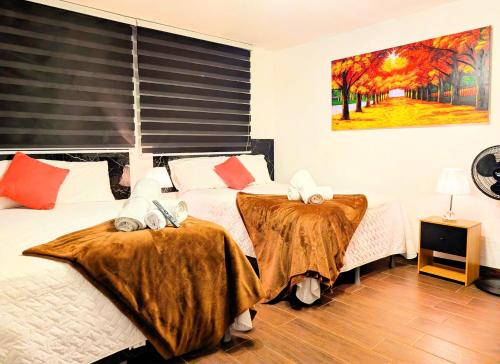 Casa Gardenia in Zona 12