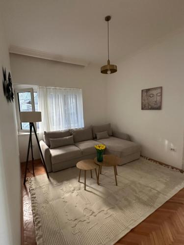 貝爾格勒 Apartment Skadarlija iza coska 3星级 单人房 套房