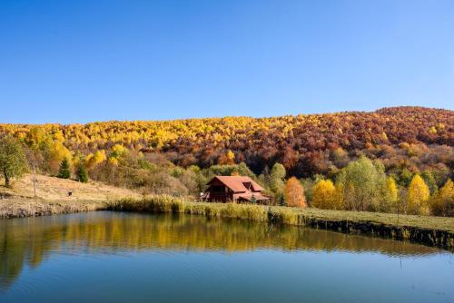 Cabana La Moara in Sălicea