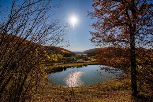 Cabana La Moara in Sălicea