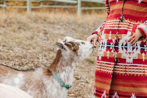 MYRA CANYON RANCH B&B/Inn + Horseback Riding
