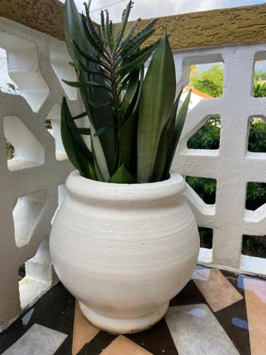 Instalaciones, Coming Home in Gouyave