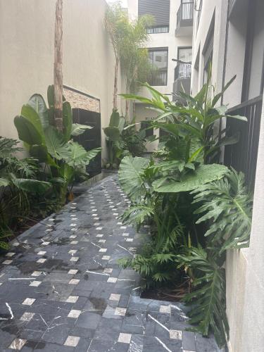Garden, Bridge Select - Mirage in Cil