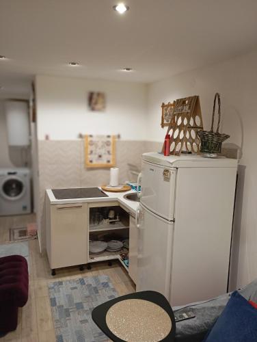 Belgrade Njegoseva 20 (VRACAR) 4-Star Single Room lobby