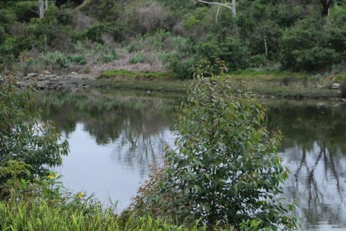 Recreational facilities, Forword's River Lodge in Abbotsford