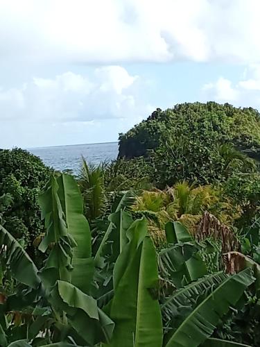 Cassiane apartments in Anse De Mai