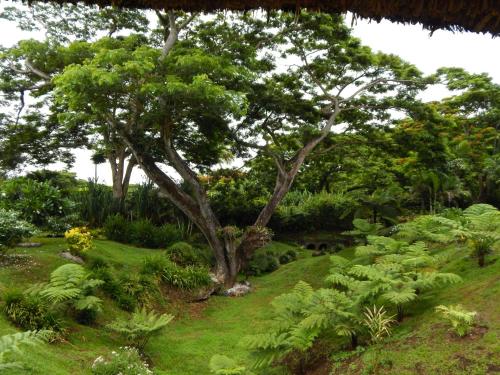 Taveuni Dive Resort