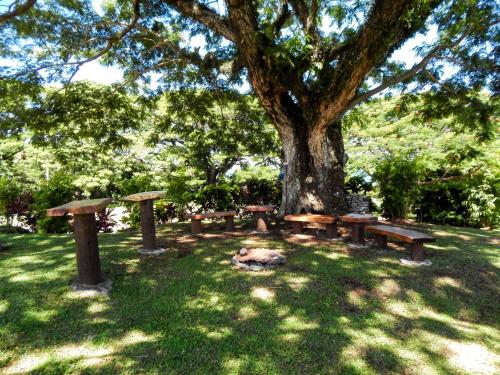 Taveuni Dive Resort