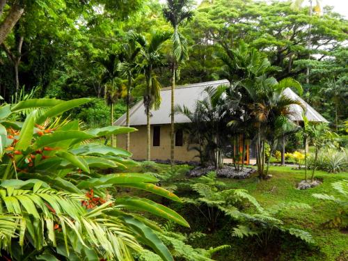 Taveuni Dive Resort