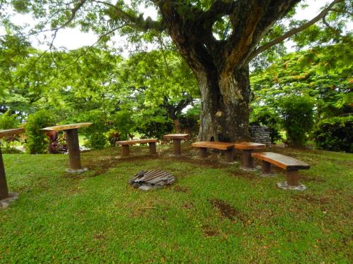 Taveuni Dive Resort