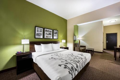 Sleep Inn & Suites Valdosta - image 9