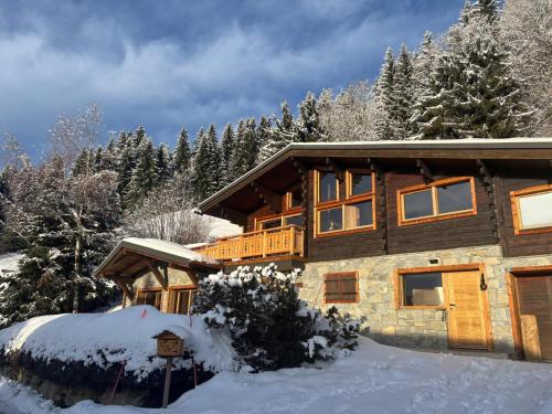 Chalet meleze - Les Gets - La Massouderie