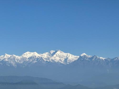 Bunk Stays in Darjeeling