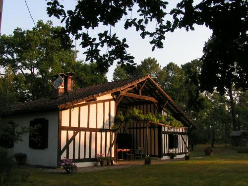 Authentique maison landaise in Argelouse