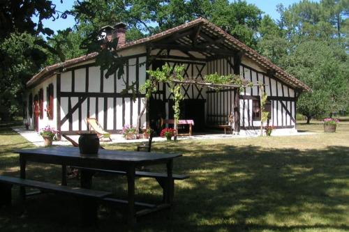 Authentique maison landaise in Argelouse