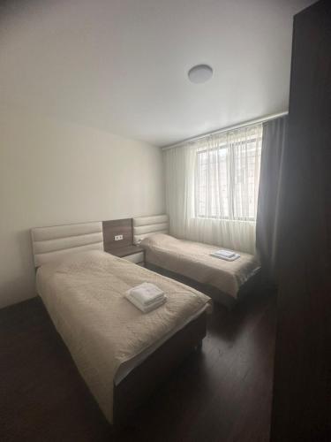 Mini hotel falcon in Bakurianis Andeziti