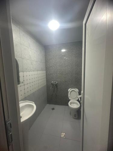Mini hotel falcon in Bakurianis Andeziti