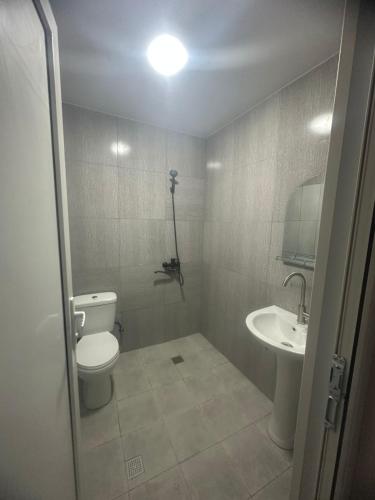 Mini hotel falcon in Bakurianis Andeziti