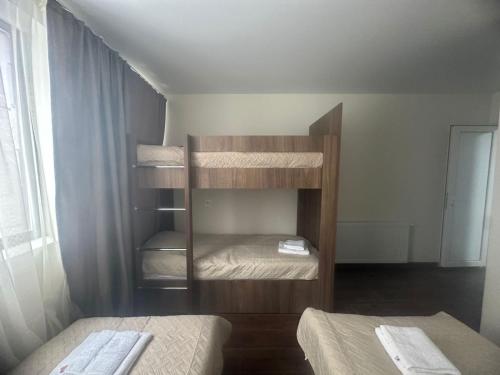 Mini hotel falcon in Bakurianis Andeziti