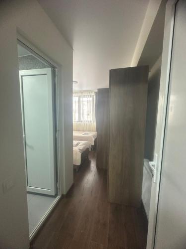 Mini hotel falcon in Bakurianis Andeziti