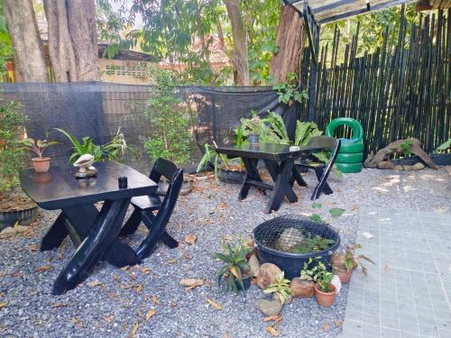 카오속 (수랏타니) Green Valley Lodge 호텔 부대시설