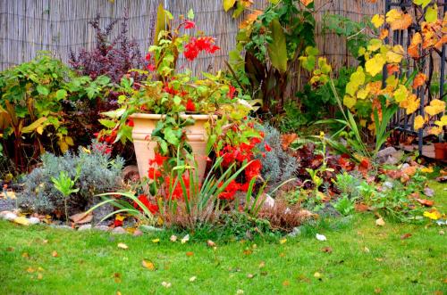 Apartments with outdoor SPA jacuzzi and sauna Apartments with outdoor SPA jacuzzi and sauna